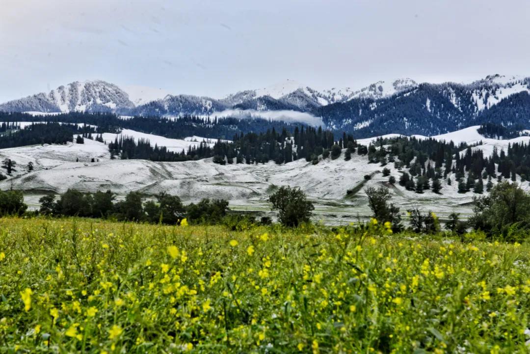 伊犁最美的50处绝色美景,伊犁最美的小众景点