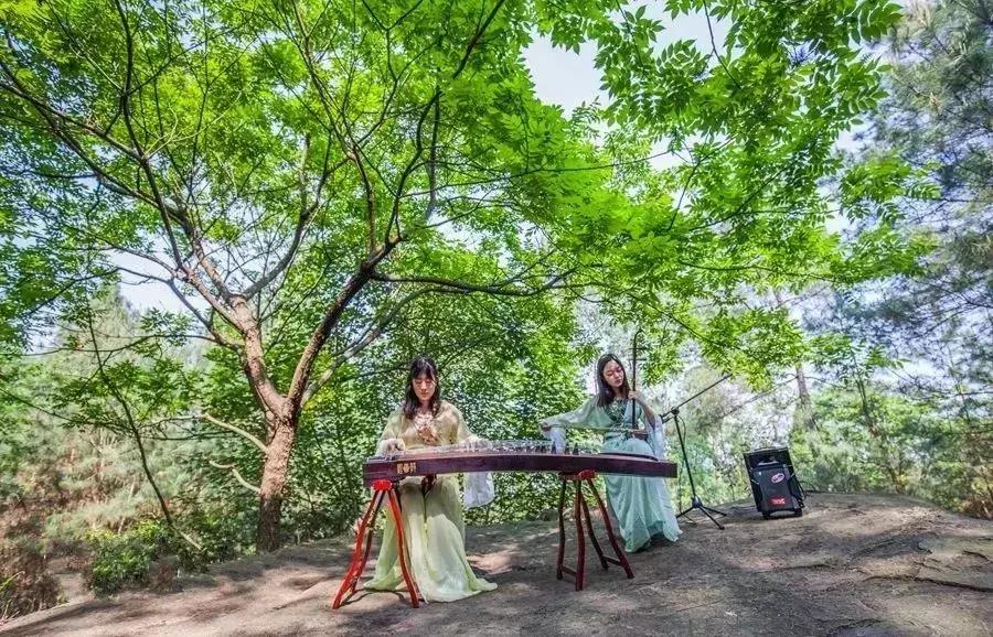 再过2天！仁寿森林音乐节来了，桐子花开满山头，粉白若雪！