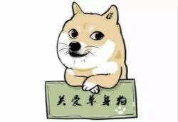 狗粮皇家伯纳天纯 (皇家狗粮和伯纳天纯哪个好)