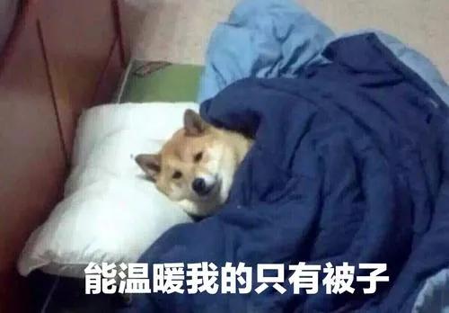 中国街头健身大神炫技,小伙花式健身惊呆路人