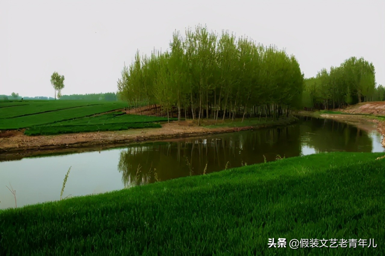 卫辉文化特色,卫辉人文历史