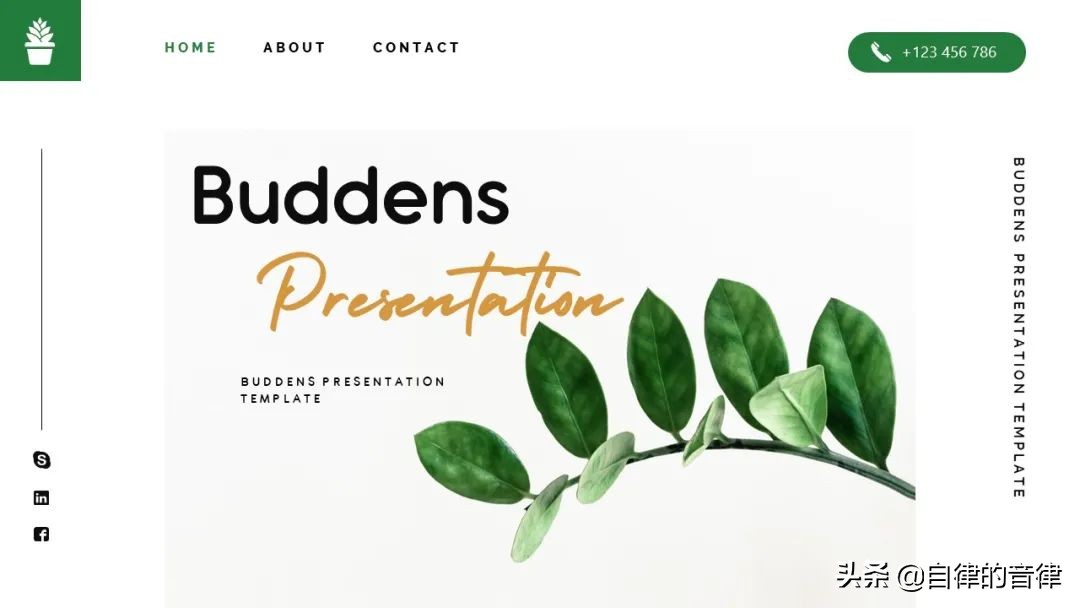 只要加些植物元素，你的PPT页面精致又有格调