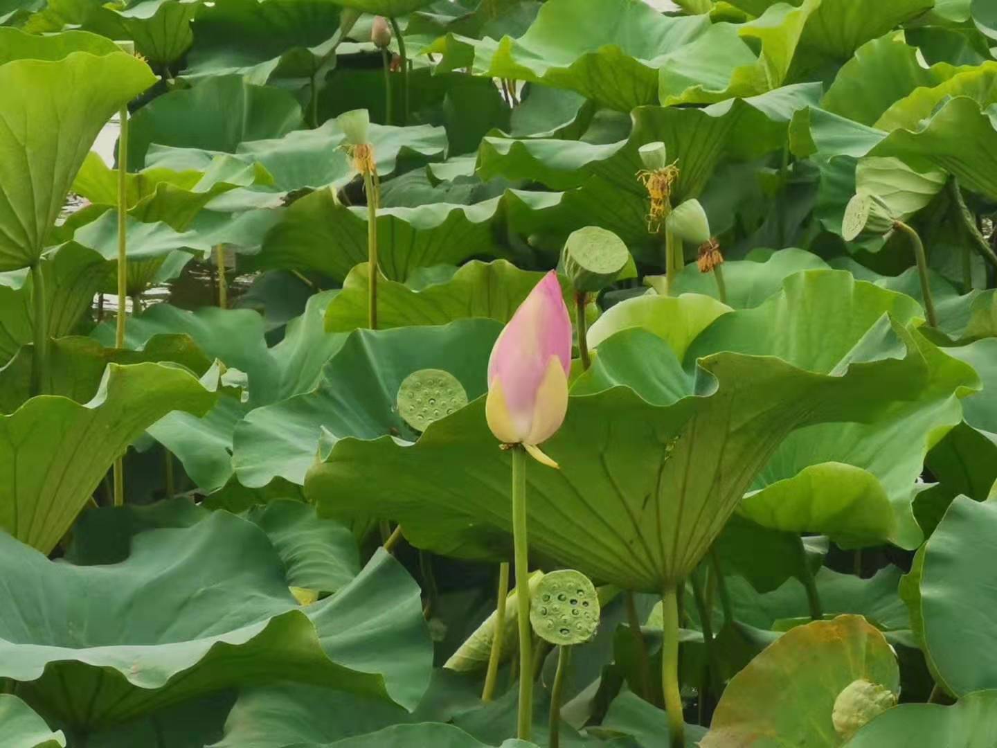 仓库5s现场管理标准图,5s仓库管理标识标牌