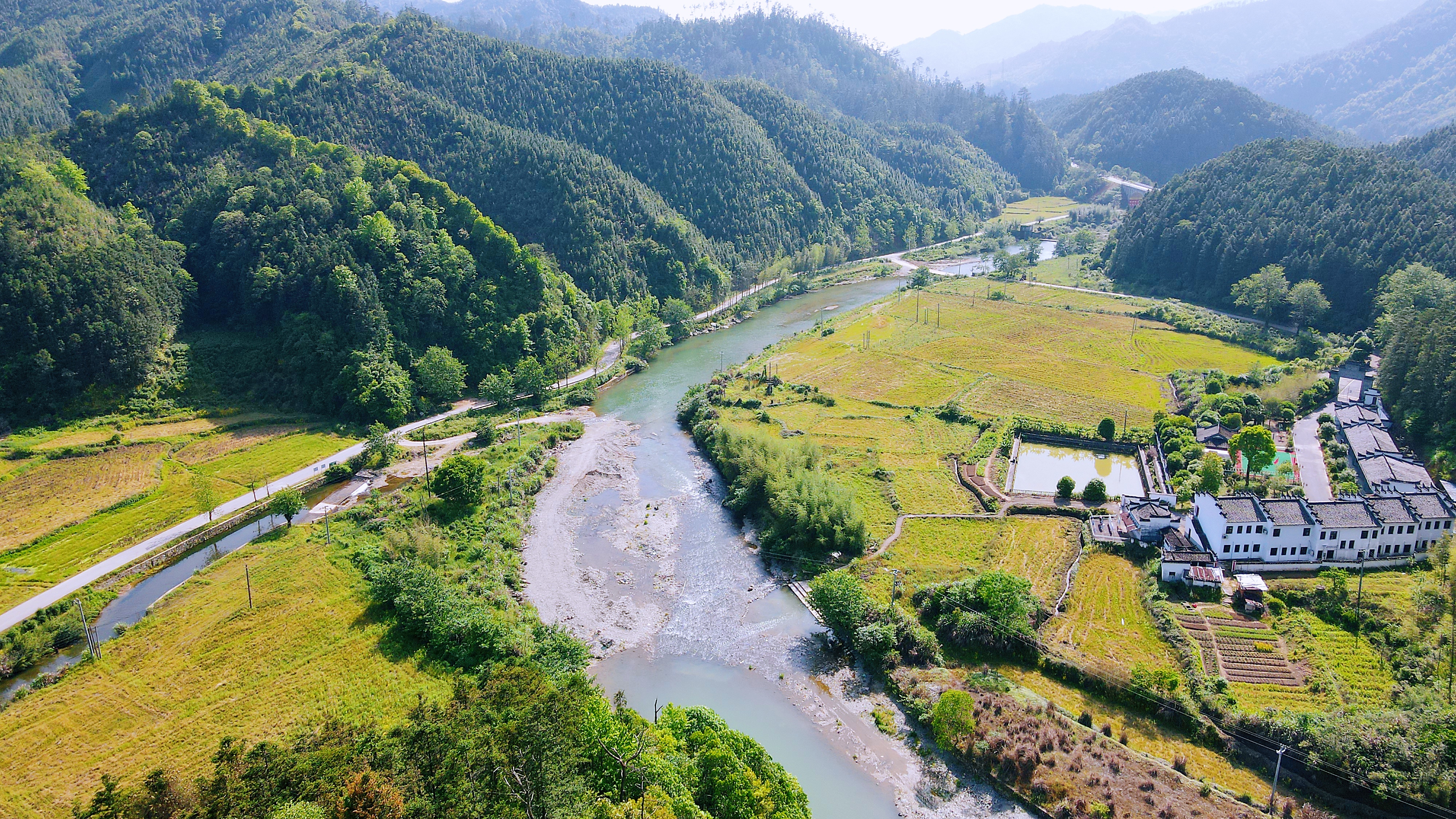 景德镇茶之源瓷之都,景德镇浮梁茶文化