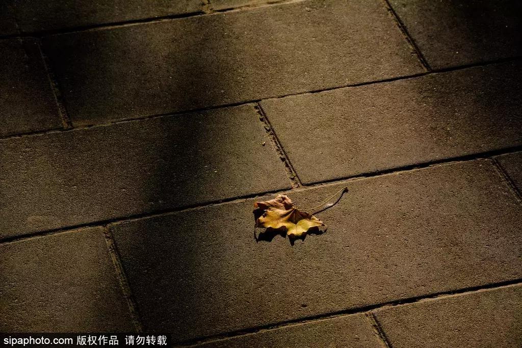 周末北京这些值得去的地方,北京周末来这儿玩