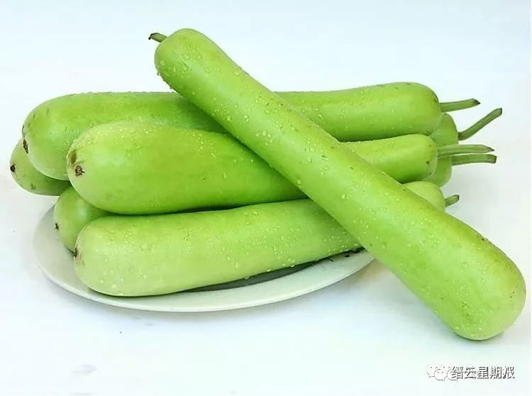 浙江有人吃冬笋中毒,这些常见菜吃错就会中毒