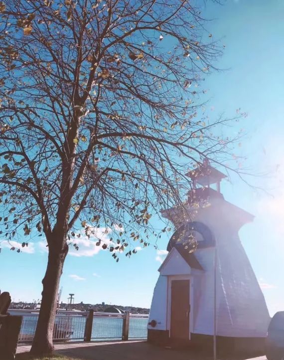 中加留学移民,中加学校教育理念