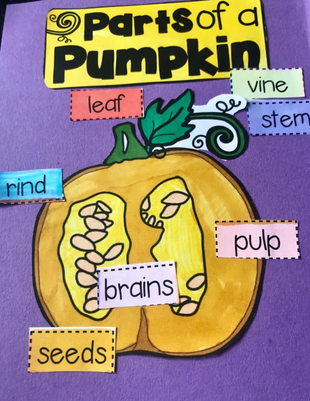 怎样提高班级学生的英语,如何改良班级氛围英语作文