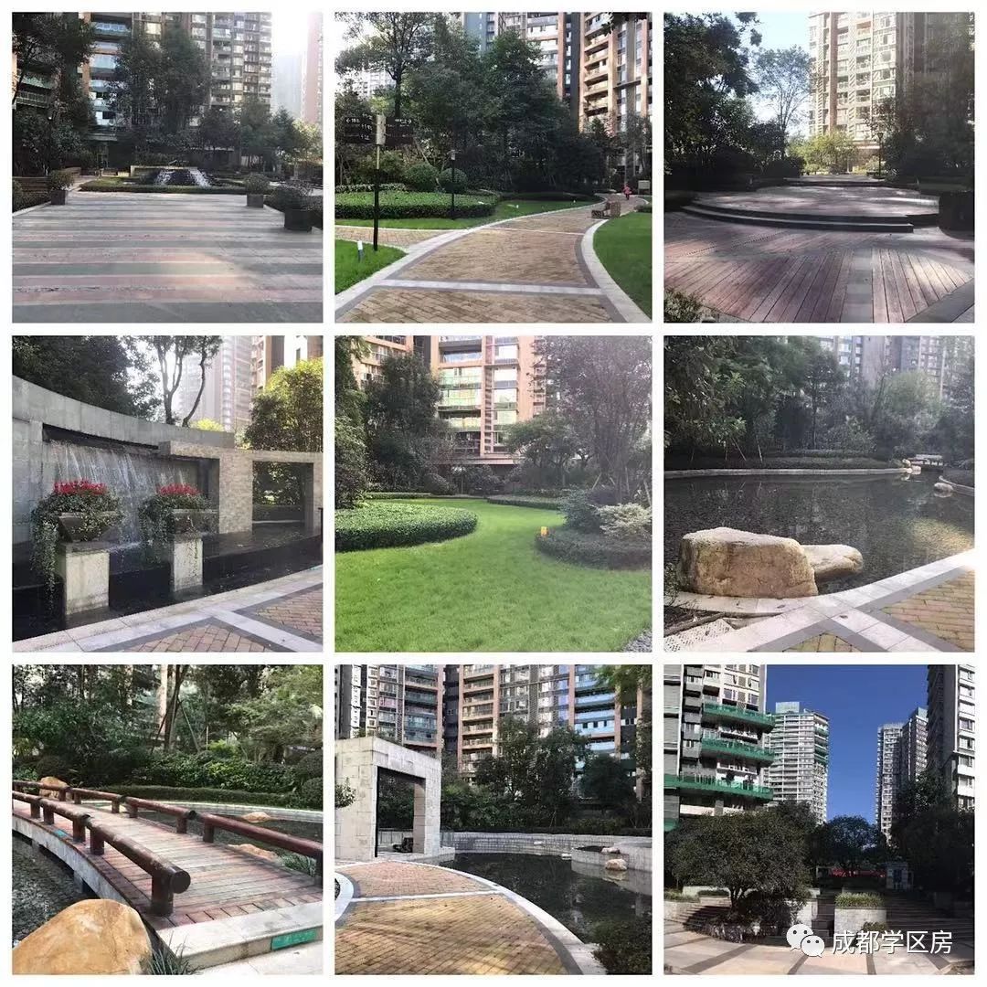 天府新区第五小学排名,天府新区a区学区房