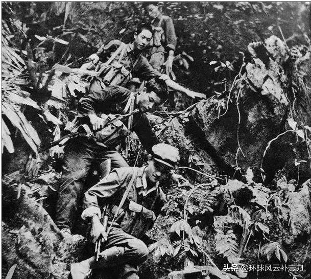 罗援将军最新一集视频,罗援将军纪录片完整版