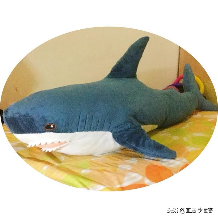 宜家小鲨鱼,为什么宜家鲨鱼火了