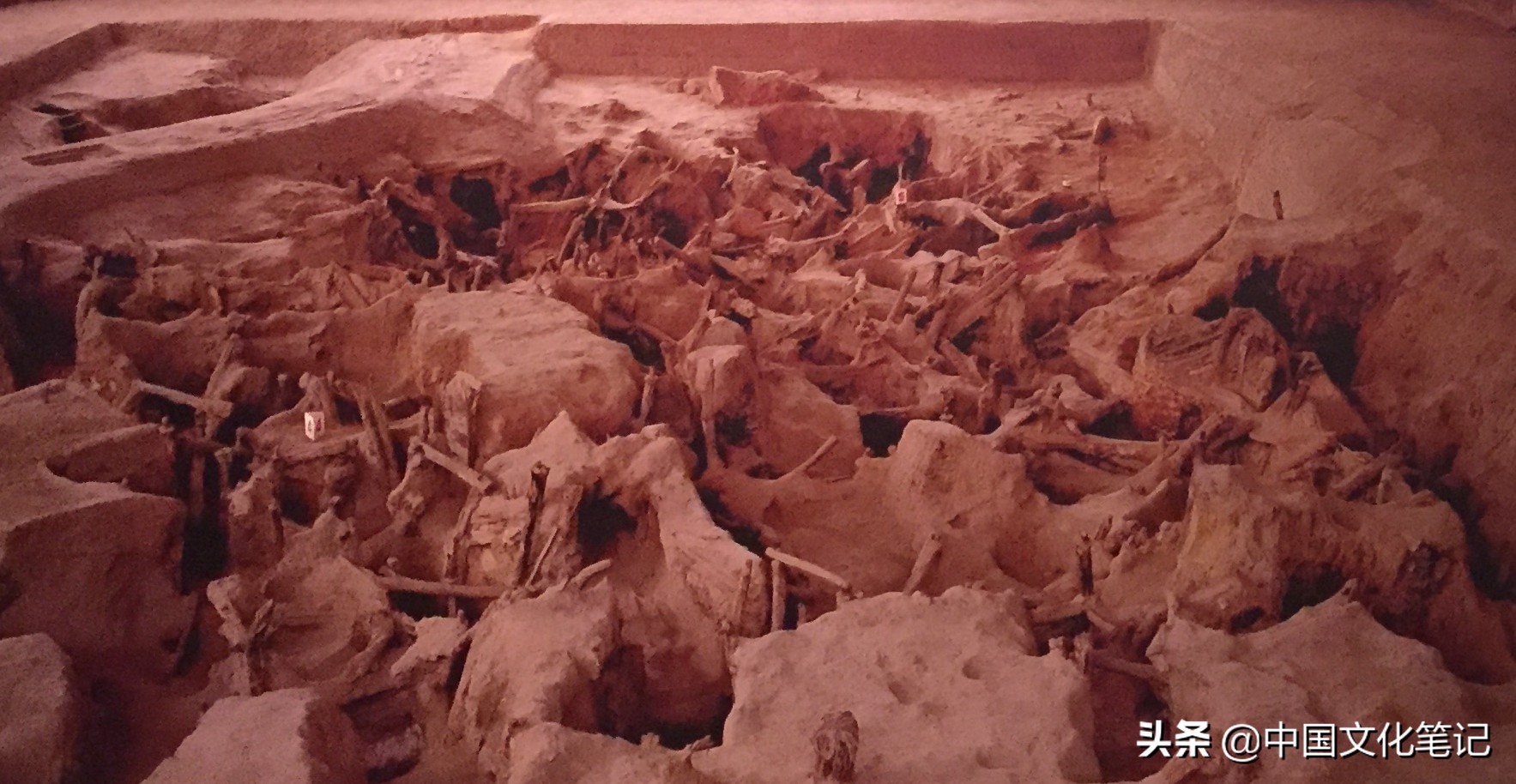 武汉盘龙城遗址有何典故,武汉盘龙城遗址距今多少年