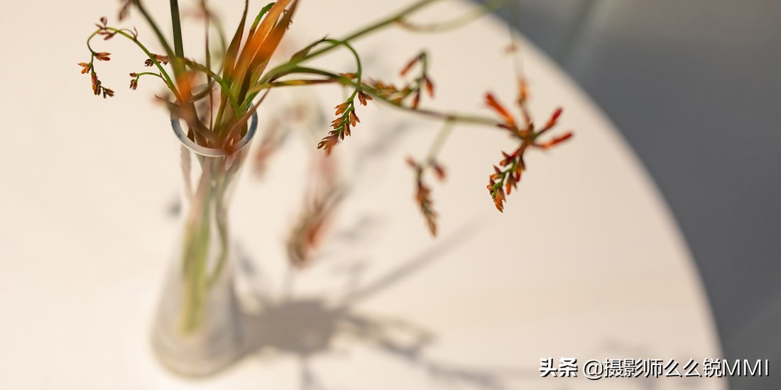 这里。藏着你“向往的生活”黄山美宿-汤口山语