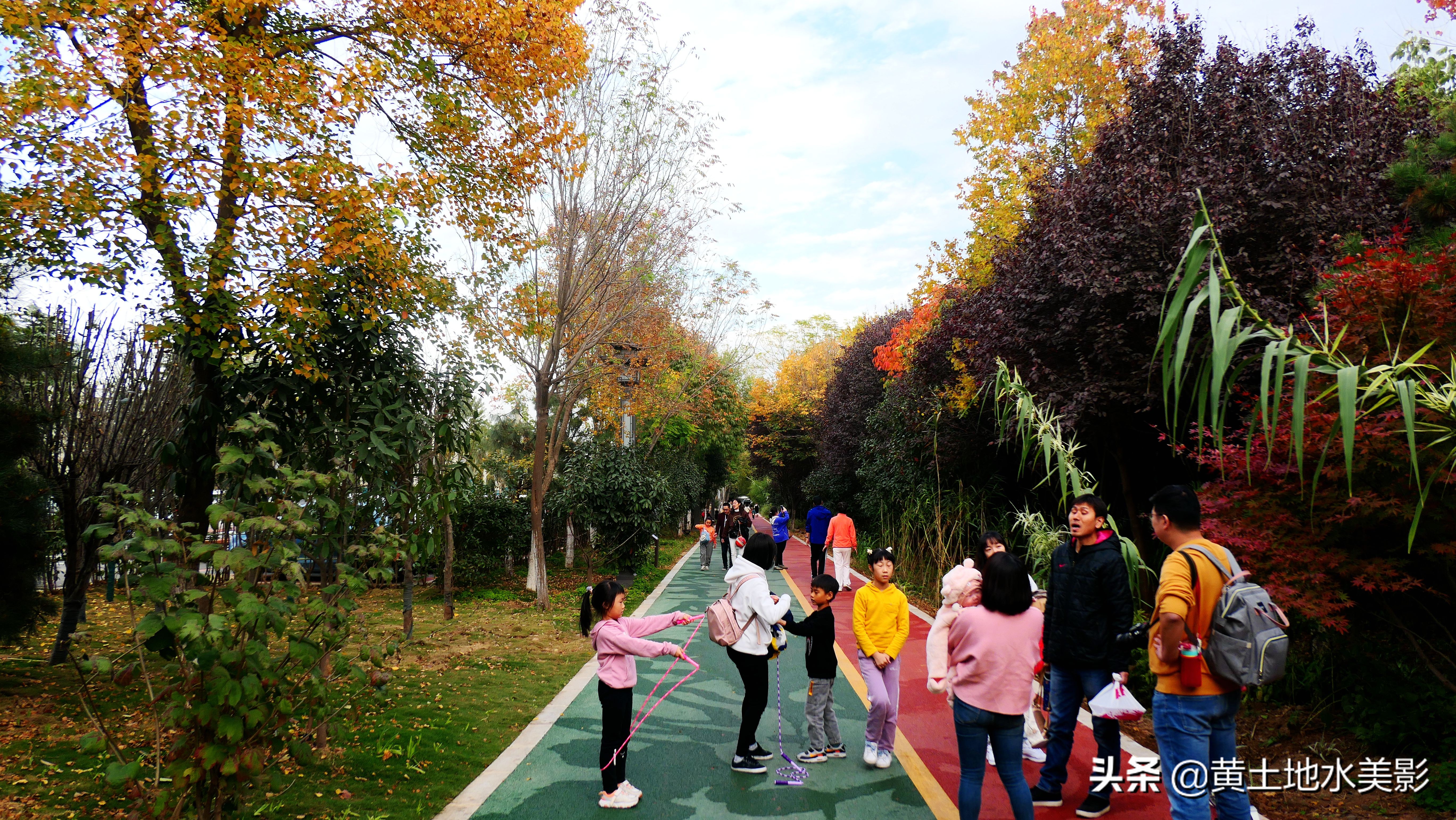 占地590亩的湿地公园,野生动物比较多的旅游景区