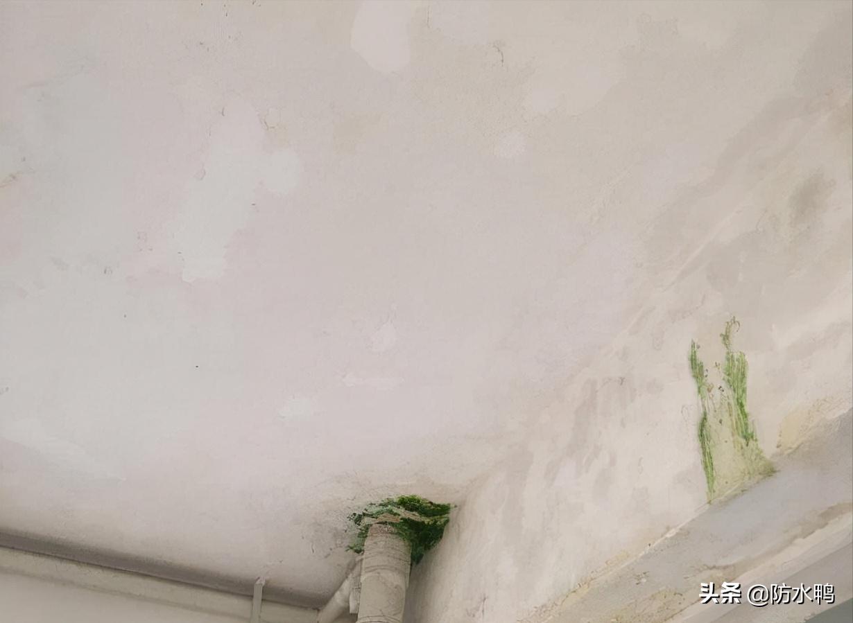 彩钢瓦屋面腐蚀漏水分析及处理,东莞市寮步镇防水处理屋面漏水