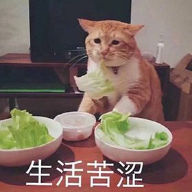 早上好真实会动的动态表情包,当代年轻人的真实现状表情包