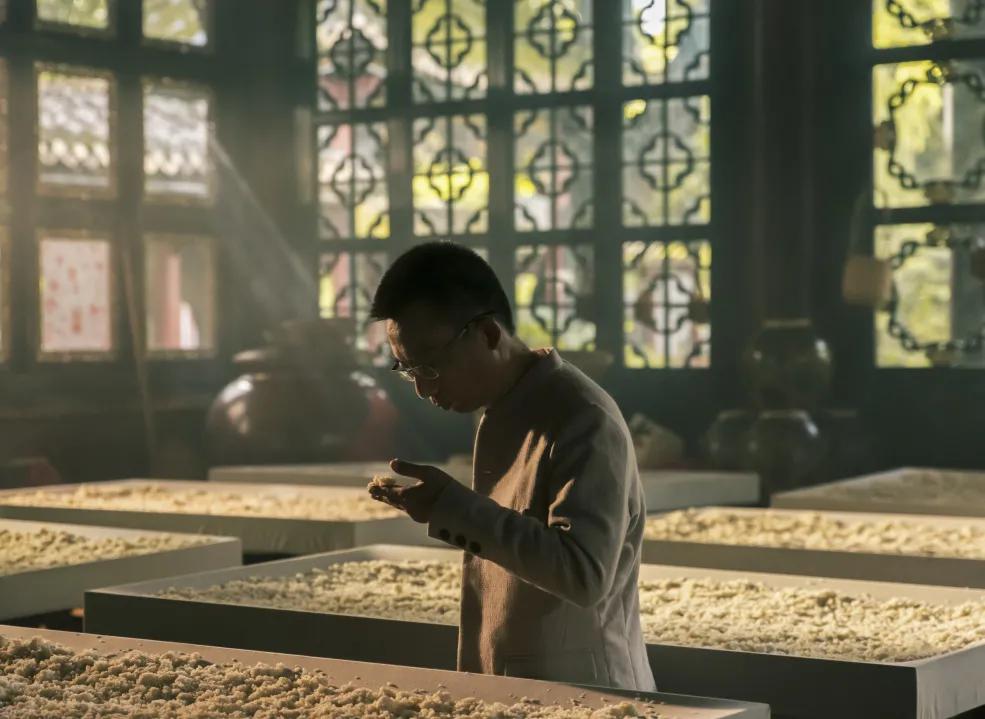 萧大师讲历史视频,萧大师作品