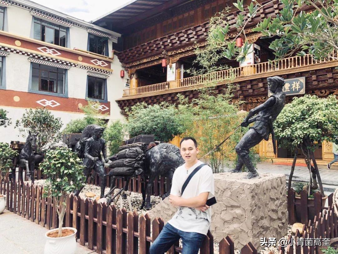 云南曲靖会泽县茚旺高中致远中学高一新生及补习班招生简章来啦