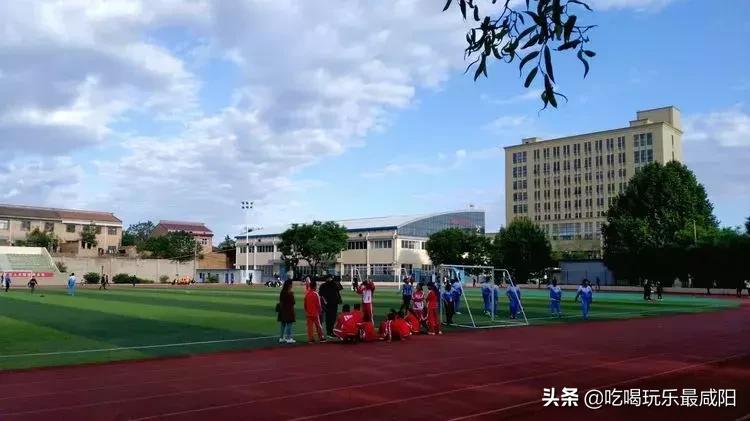 陕西哪三个县被评为天然氧吧,陕西中国天然氧吧之城