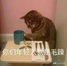 神兽修仙赚钱游戏,神兽合成赚钱小游戏