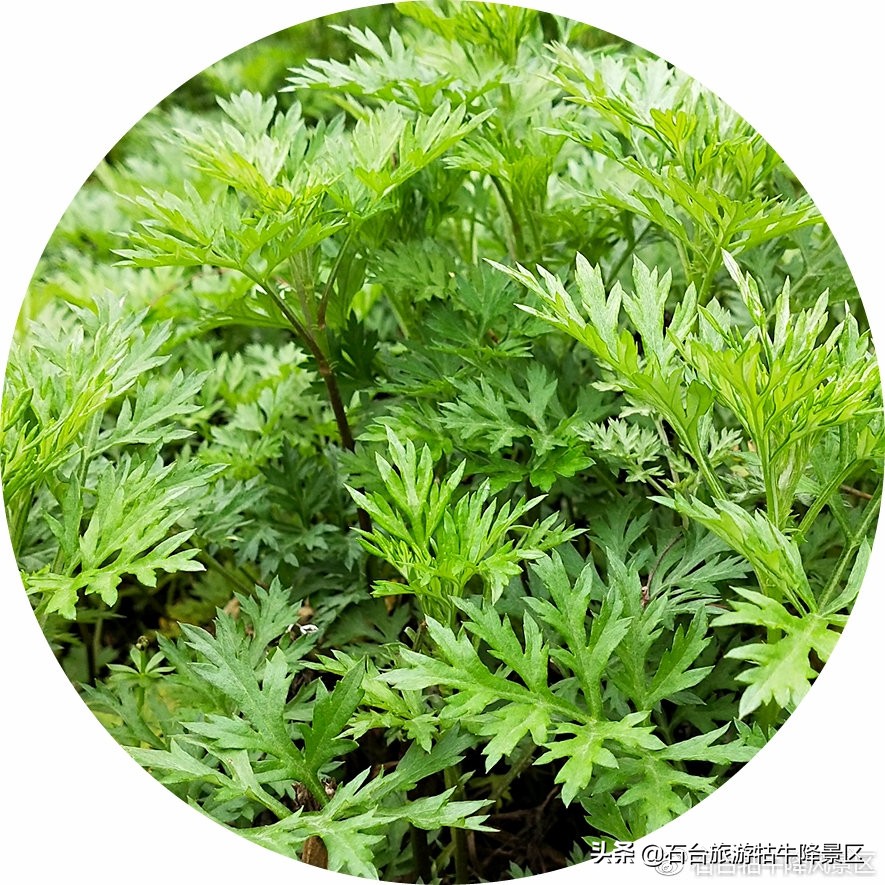 可以错过所有唯独不能错过你,可以错过很多但不能错过你