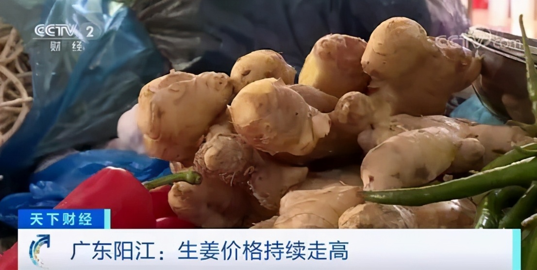 生姜价格对仔姜价格有影响吗,近几年的生姜价格