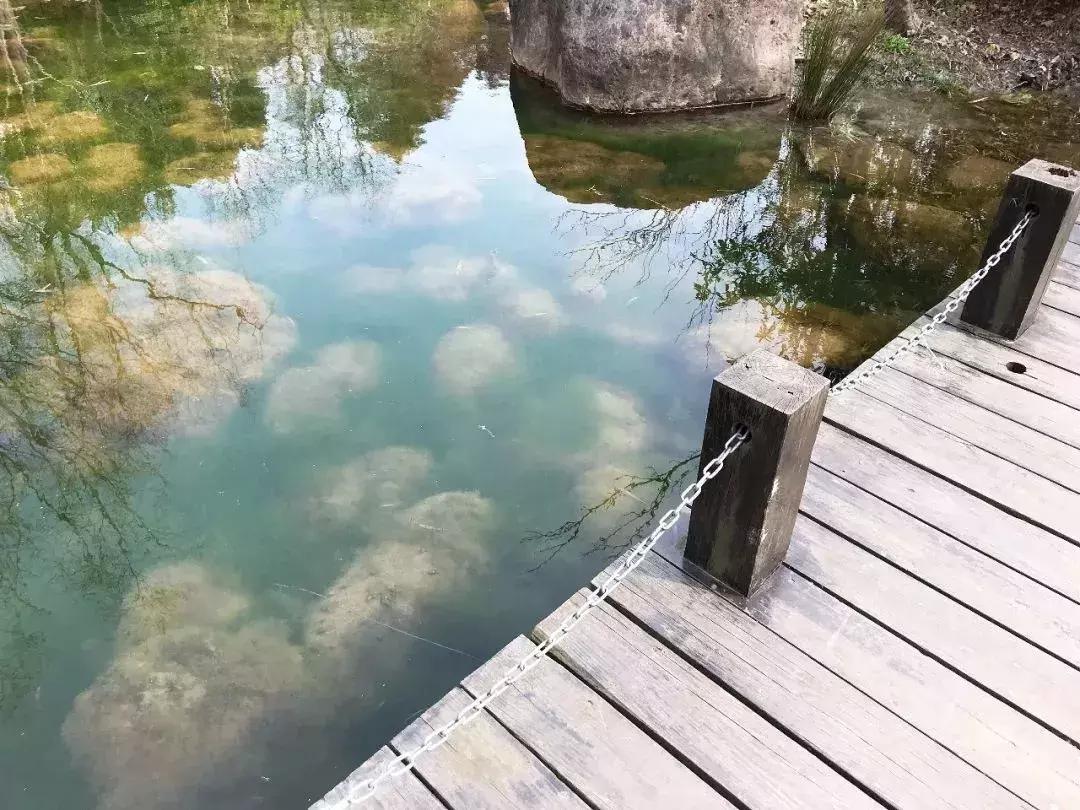 无锡遛娃户外免费,无锡惠山区遛娃好去处