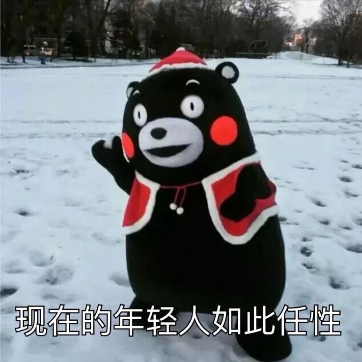 双十一的战争,双十一战争怎么样