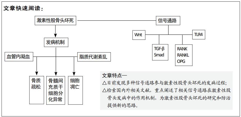 激素性股骨头坏死的中医病机,激素性股骨头坏死的早期信号