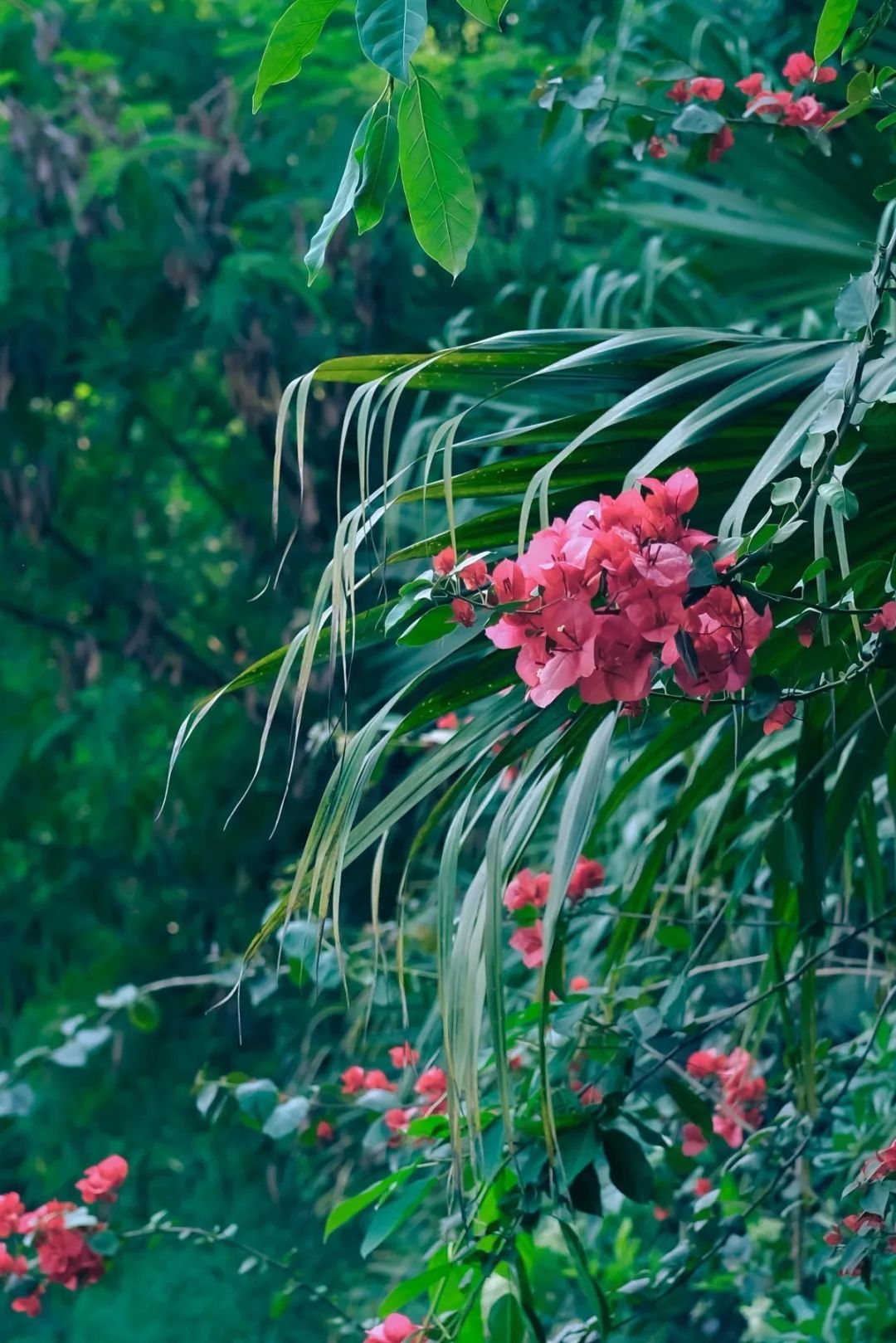 春意盎然的湿地公园,一个风景如画美丽休闲的公园