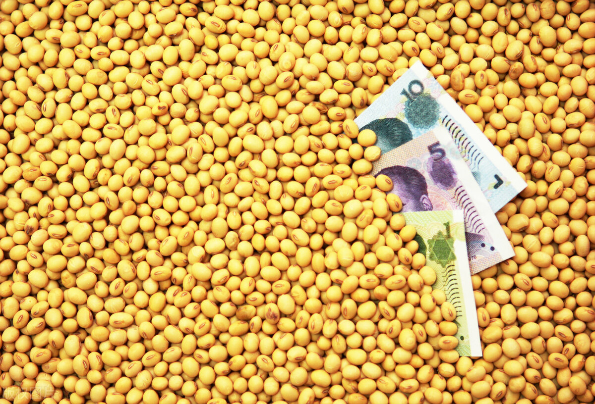 今日大豆价格东北大豆,东北大豆今天大豆价格