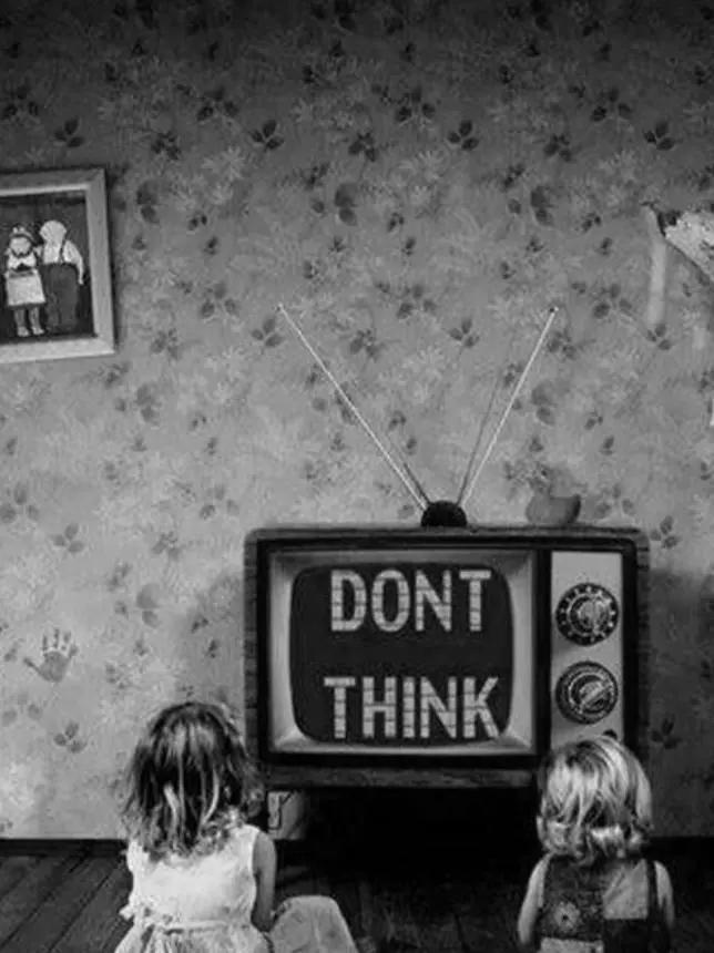 我们将毁于我们所热爱的东西解析,我们终将毁于我们所热爱的东西