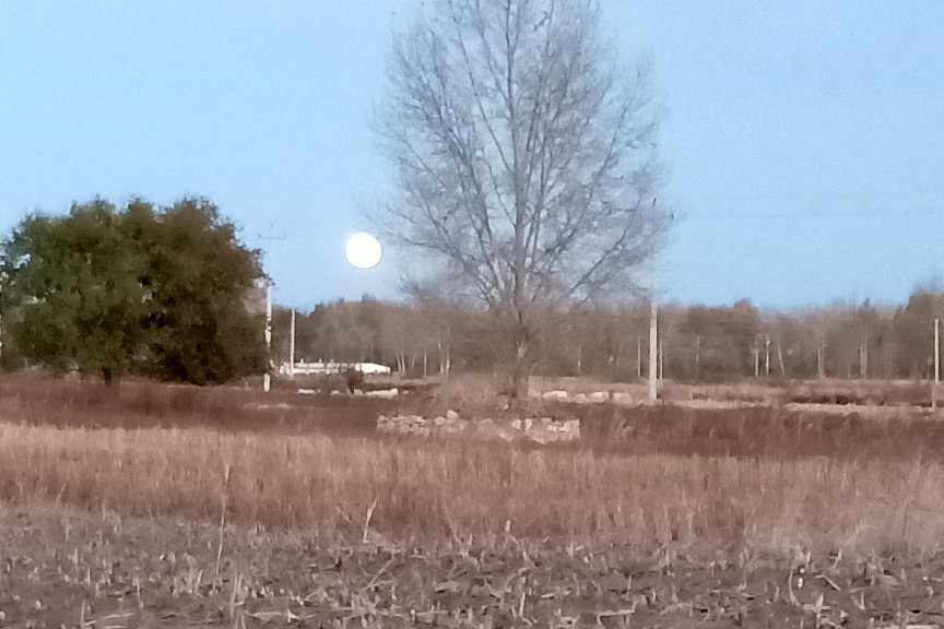 从四子王旗到牧区要走多少公里,呼市从四子王旗徒步回家