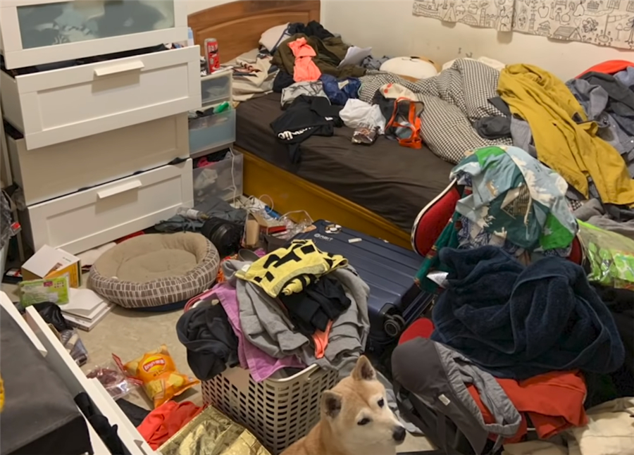 囤积癖清理屋子,囤积癖房间整理