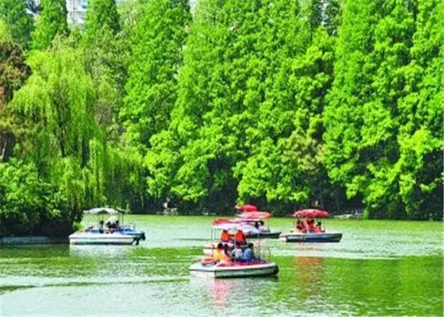 合肥人眼中的第一印象,合肥的第一印象