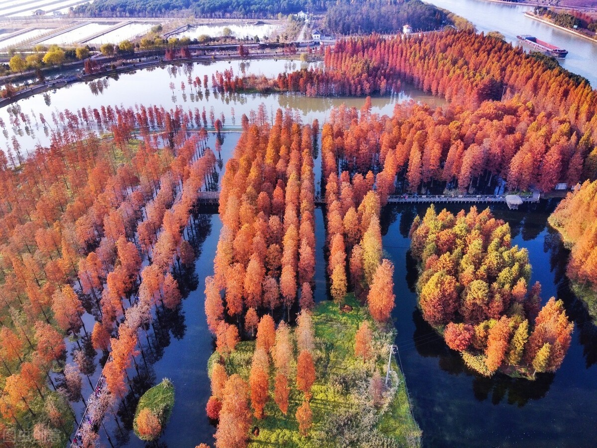 上海五大新城哪个会发展最好,上海五大新城排名