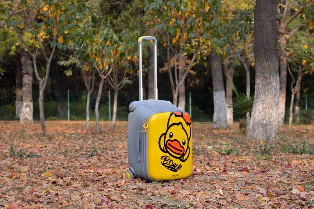 稚行遛娃箱B-Duck合作款评测:一箱两用能座还能装,券后589元