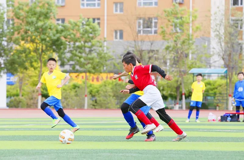 呼和浩特赛罕区足球比赛校长杯,呼和浩特区长杯2024足球赛小学组