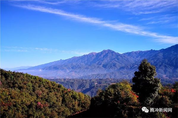 腾冲樱花谷樱花节,腾冲樱花谷最佳观赏季