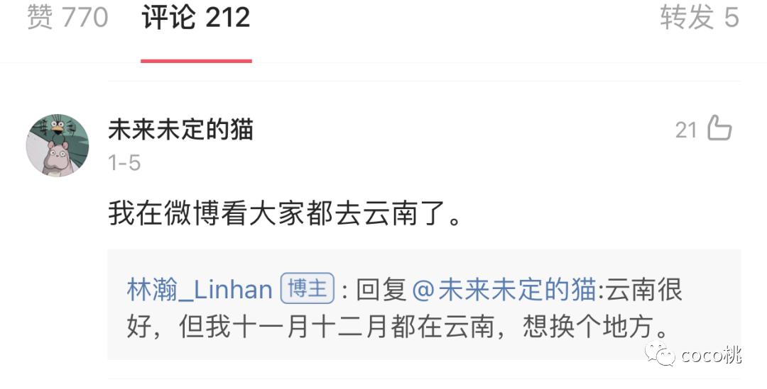 上综艺被骂得最惨的女网红,上综艺被骂得最惨的女明星