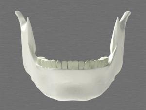 年纪越大脸就会越小是真的吗,如何判断自己是鹅蛋脸还是方脸