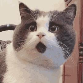 见到吃的就控制不住流口水,如果同桌有零食怎么办