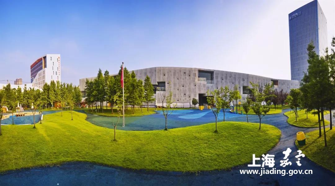 全国幼儿园优秀游戏活动案例名单公布！嘉定4所幼儿园被国家表扬