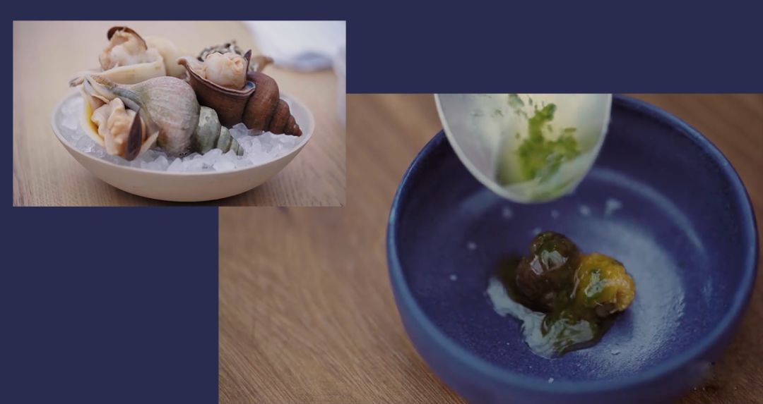 哥本哈根旅行视频,哥本哈根noma餐厅效果图