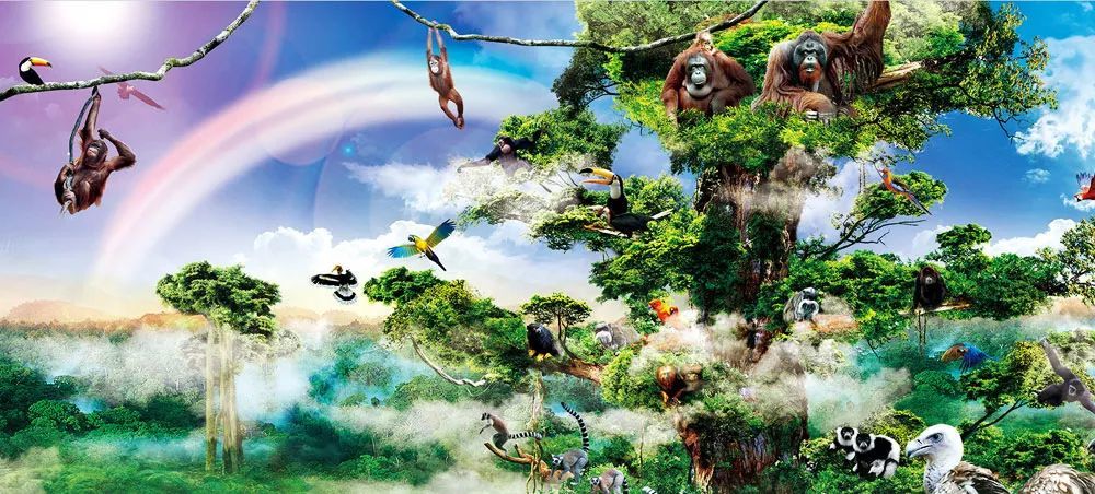 长隆野生动物世界营业时间,广州长隆野生动物园要玩多久