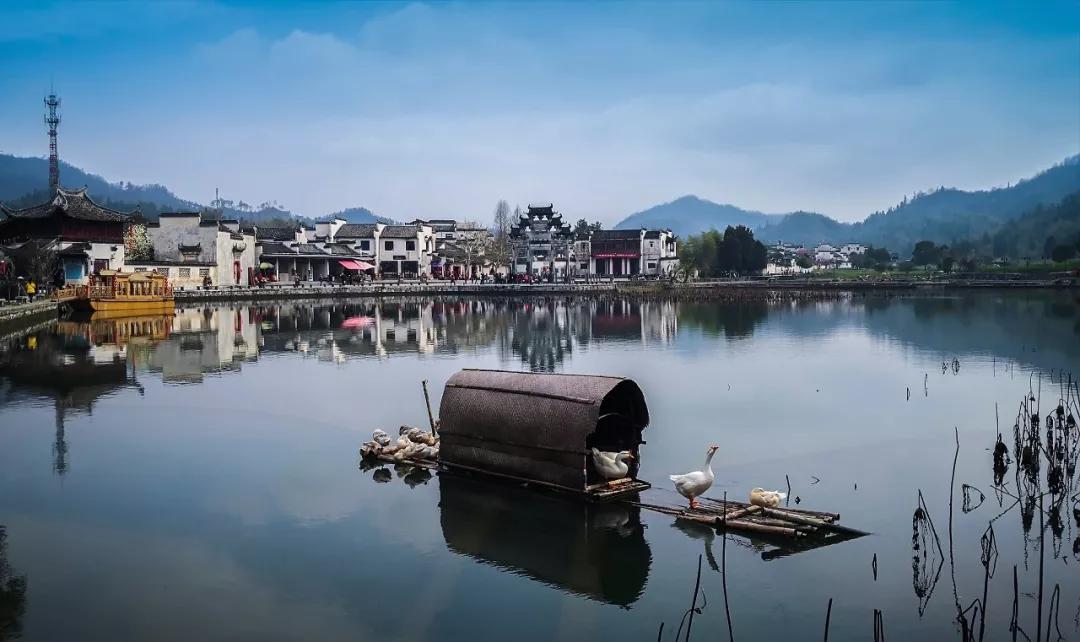 这个夏天一定要来一次浪漫的旅行,这个夏天一定要来一趟大连