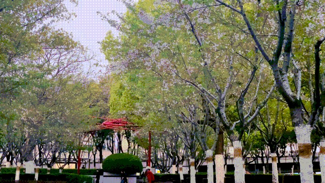 住在明光路的合肥人，太太太幸福了