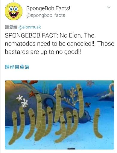 马斯克高喊宽容与爱，网友直呼回家买菜