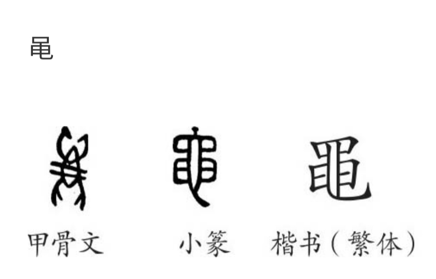 道德经中的阴阳辩证思想,道德经全书第二十九章解析