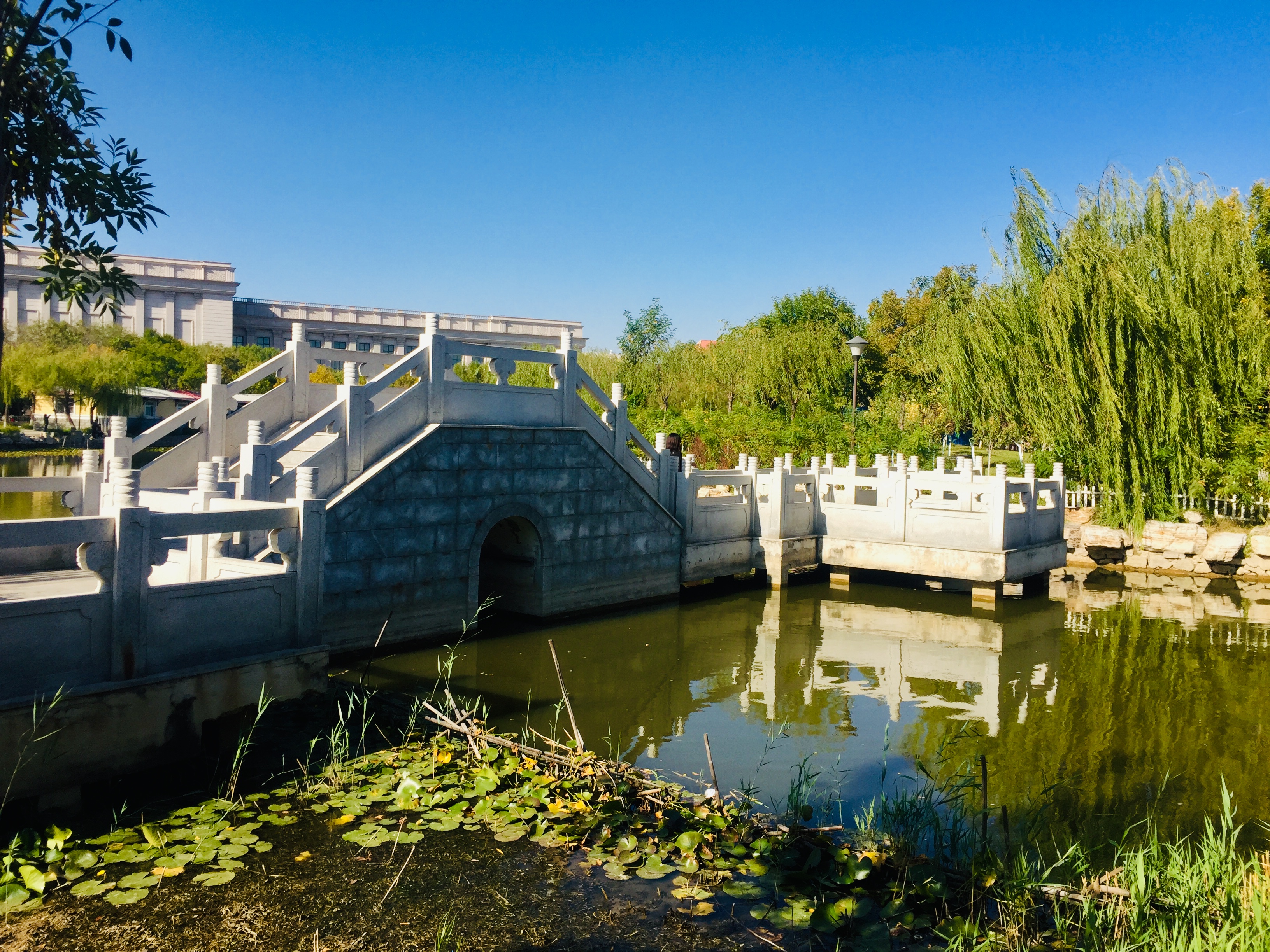 天津森林公园儿童乐园项目介绍,滨海新区适合带孩子玩的公园